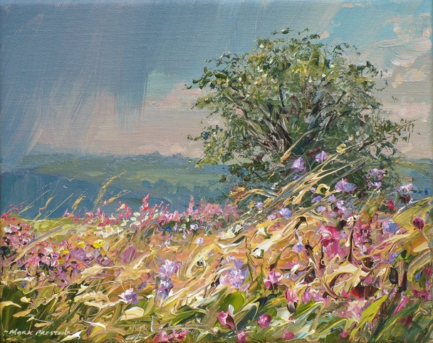 Mark Preston - passing shower, bonsall moor